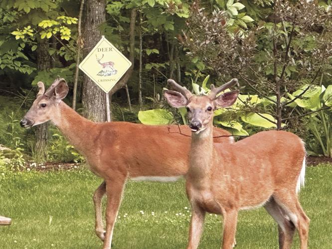 Reader Pics: June 20