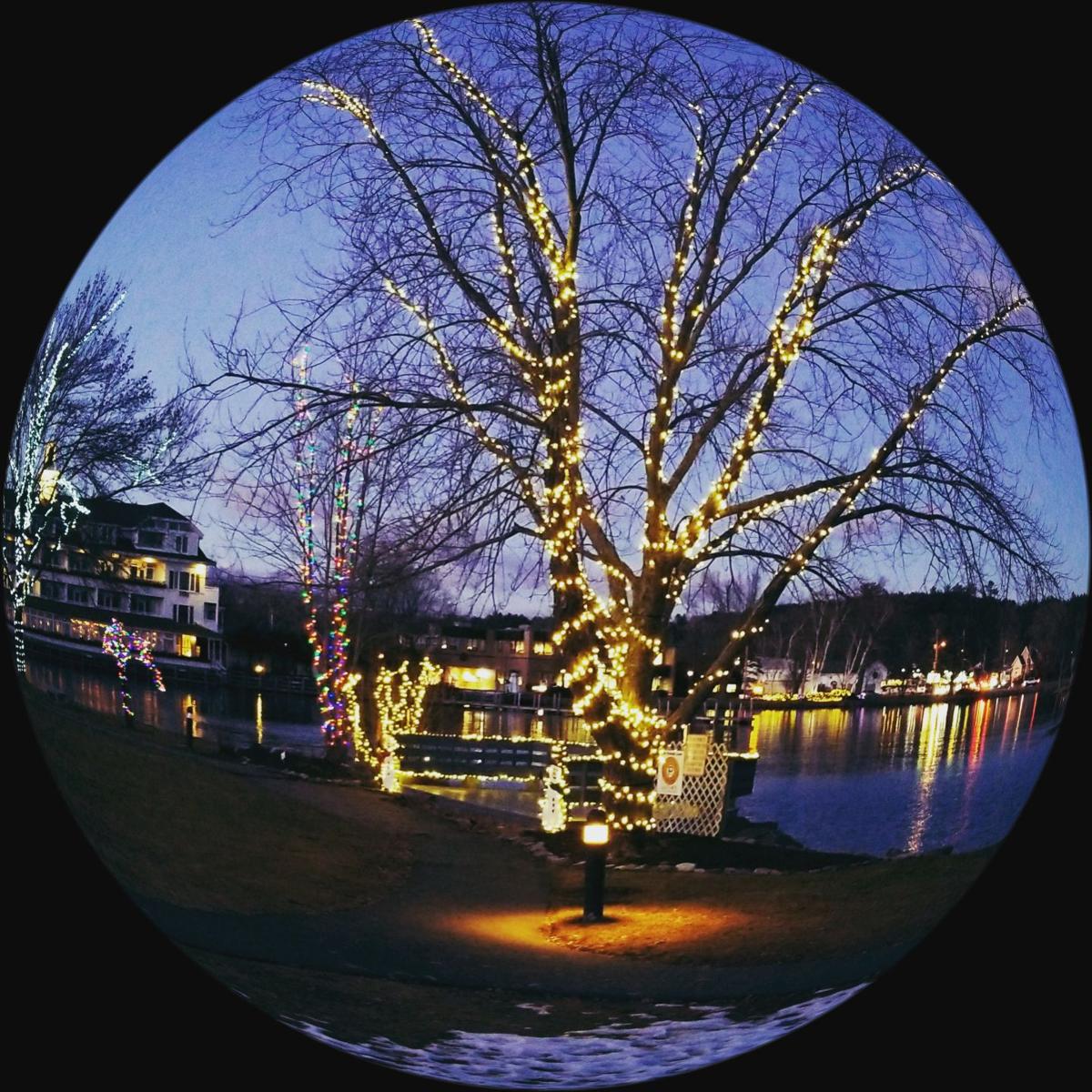 Reader Pics: Dec. 7
