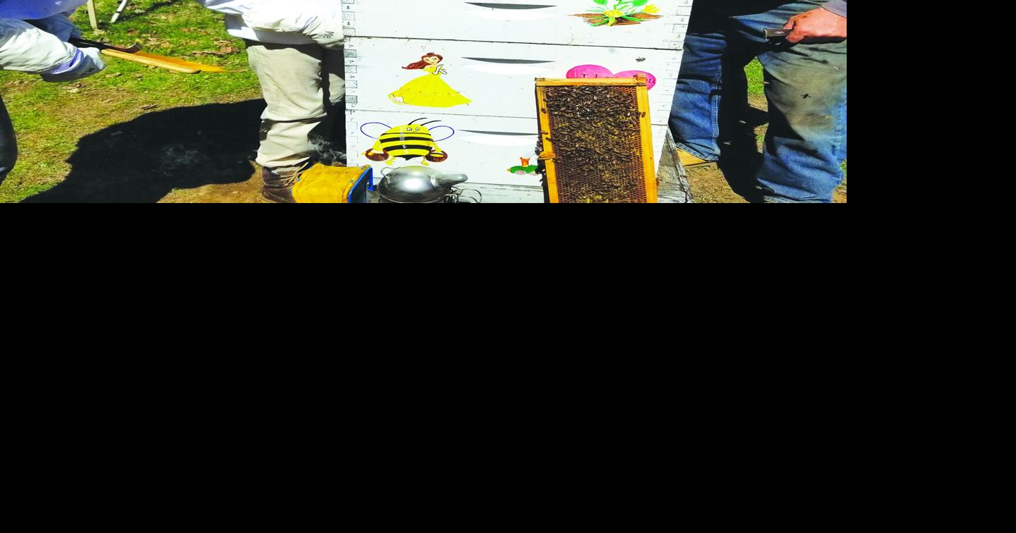 Pemi-Baker Beekeepers' Association 2026 bee school