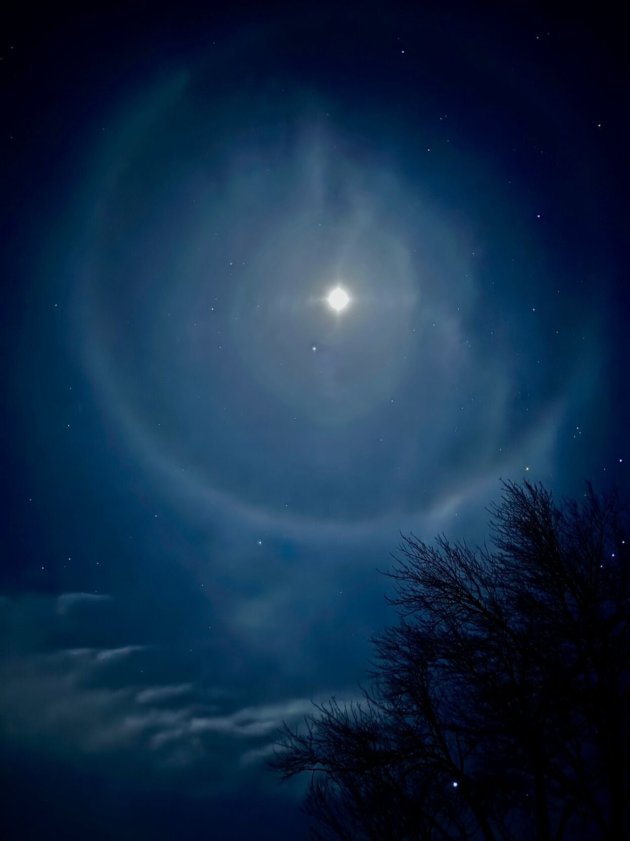 Reader Pics: March 22