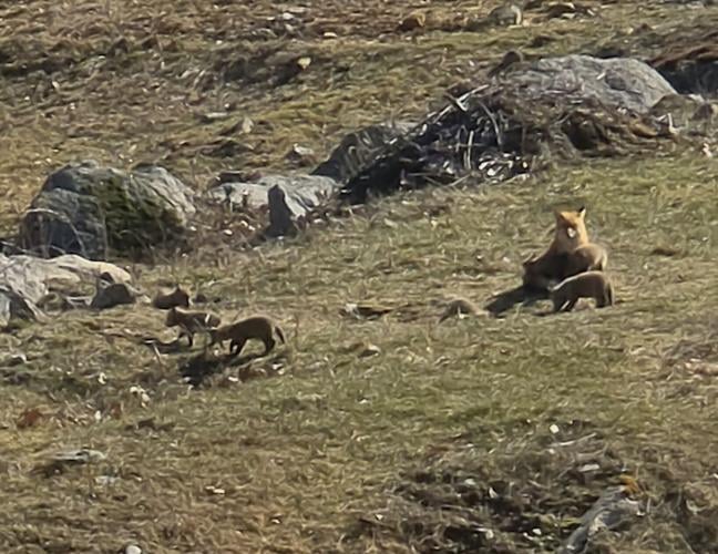 Reader Pics: April 17