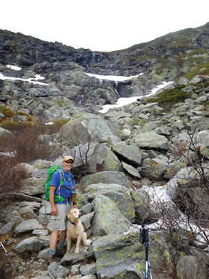 DuBois — The alpine zone in bloom