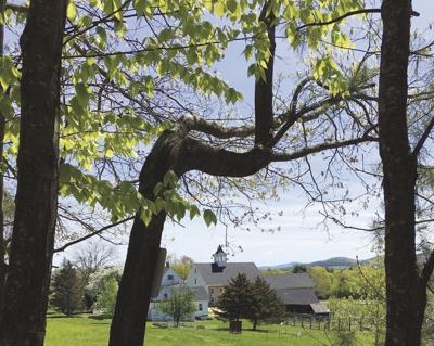 Prescott Farm view