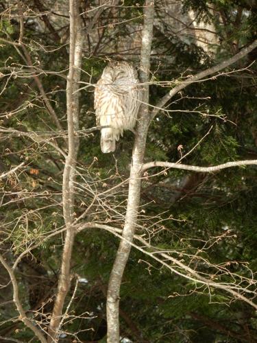 Reader Pics: Dec. 30