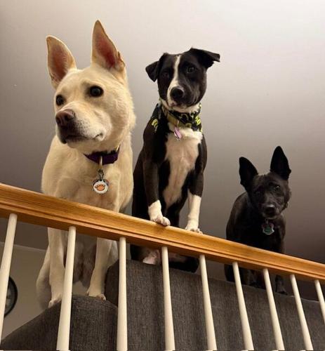Reader Pics: April 30