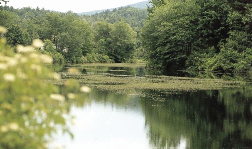 09-05 BOAT Squam Milfoil.jpg