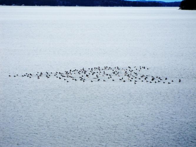 Reader Pics: Feb. 14