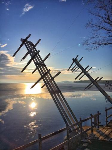 Reader Pics: April 8