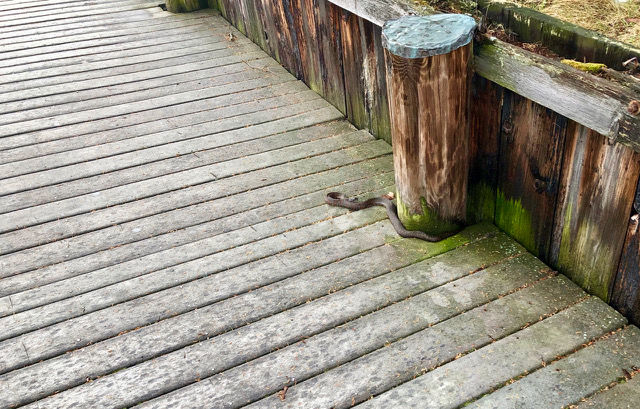 Reader Pics: April 25