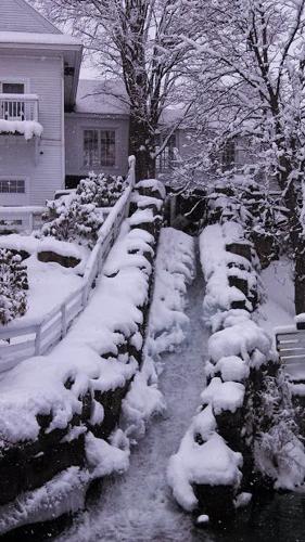 Reader Pics: Feb. 25