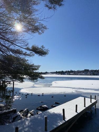 Reader Pics: Jan. 26