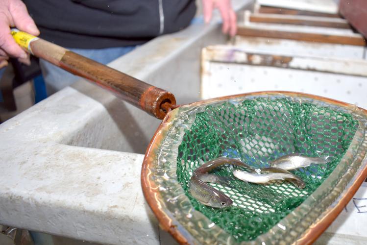 01-09 Outdoor activity bait