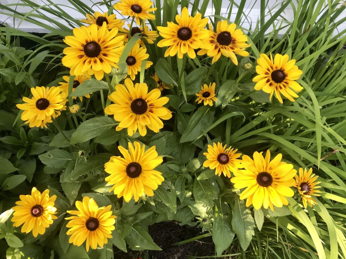 Reader Pics: July 19