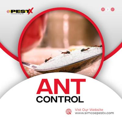 Guaranteed Pest Control Services Now Available in Barrie, Innisfil, Orillia and Simcoe County