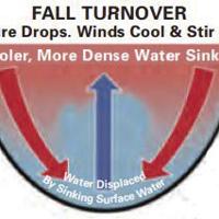 Fall Turnover Fall turnover: As the leaves change in autumn, so do the waters of Lake ...