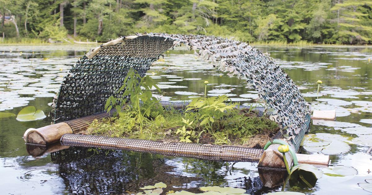 New raft in Paugus Bay provides safe place for loons to nest | Local ...
