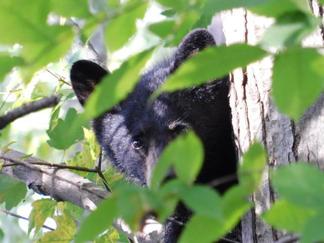 Reader Pics: Oct. 23 - 2
