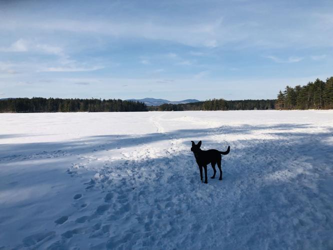 Reader Pics: March 10