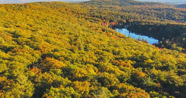 Society for the Protection of NH Forests adds 370 acres to the Morse Preserve in Alton