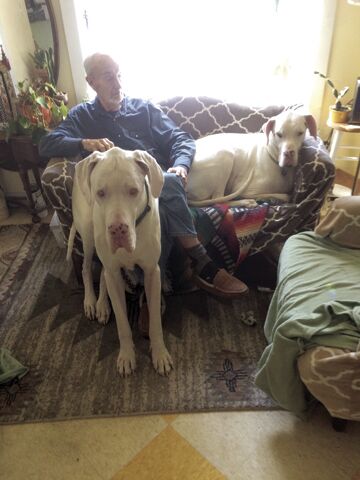 Howard J. Frisbey, 89