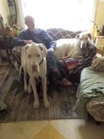 Howard J. Frisbey, 89