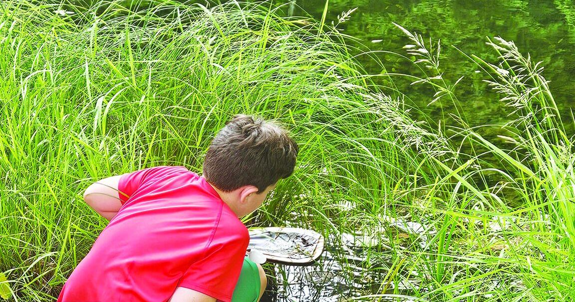 Squam Lakes Natural Science Center's new April break camp