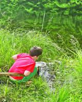 Squam Lakes Natural Science Center's new April break camp