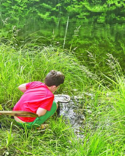Squam Lakes Natural Science Center's new April break camp