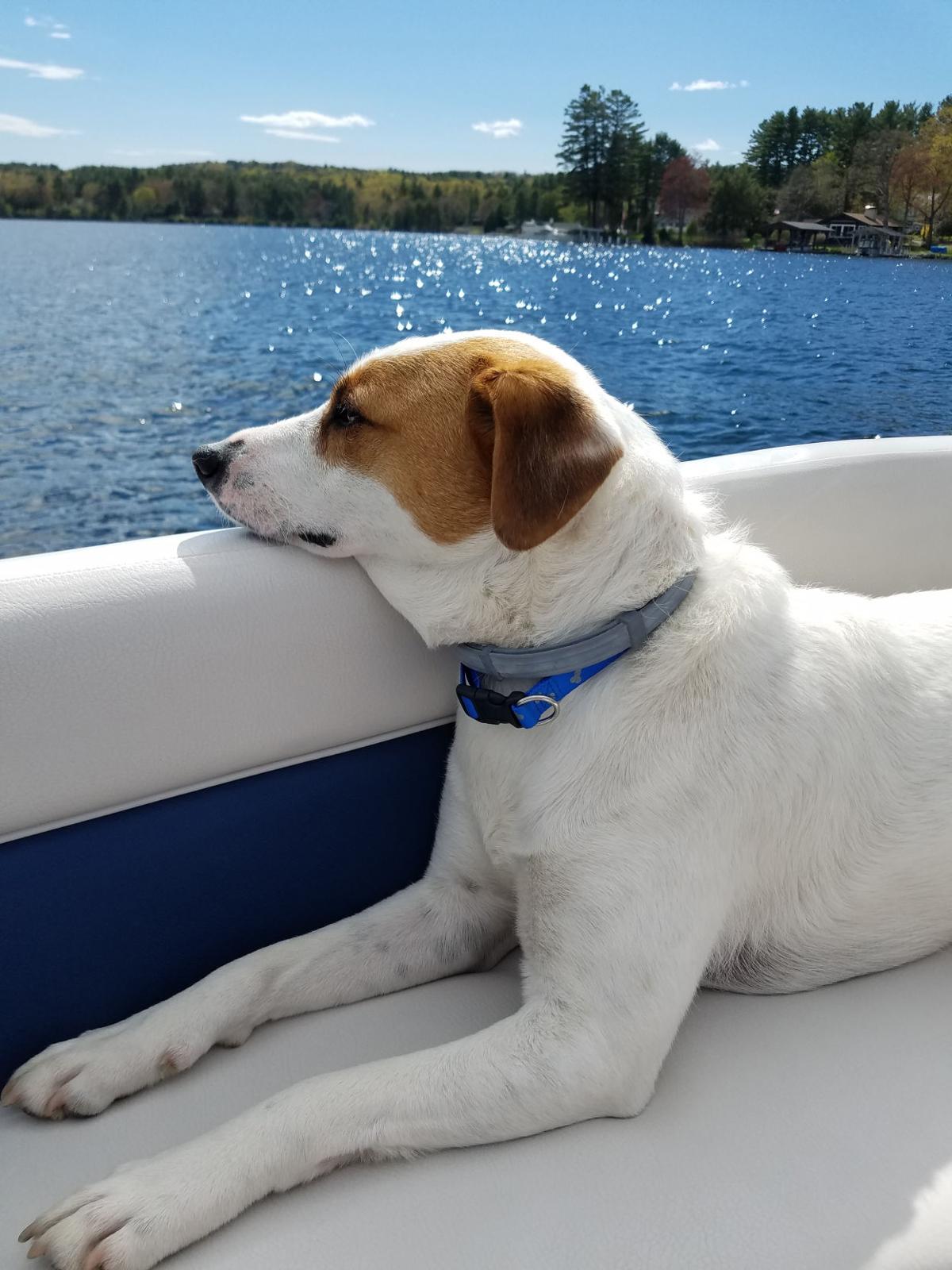 Reader Pics: June 22