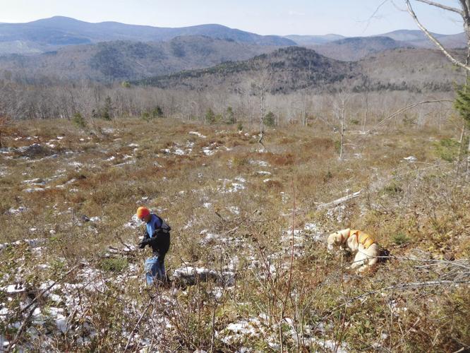 10-26 OUTDOOR logged