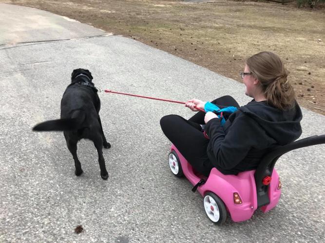 Dog cart