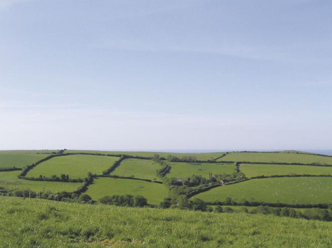 01-16 LS hills of Dorset