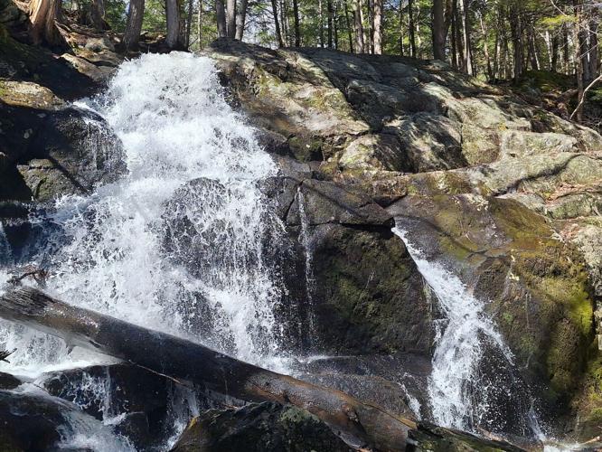 Reader Pics: April 5