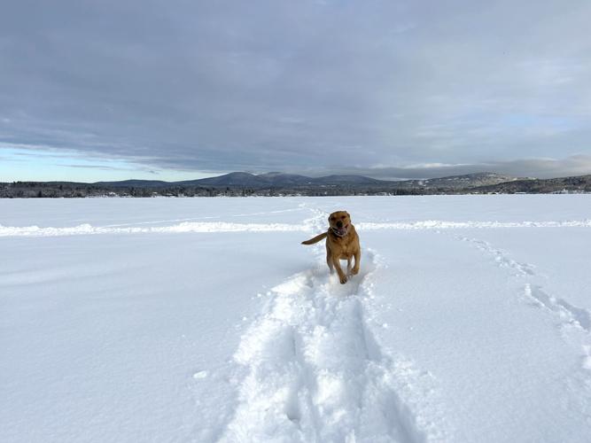 Reader Pics: Feb. 28