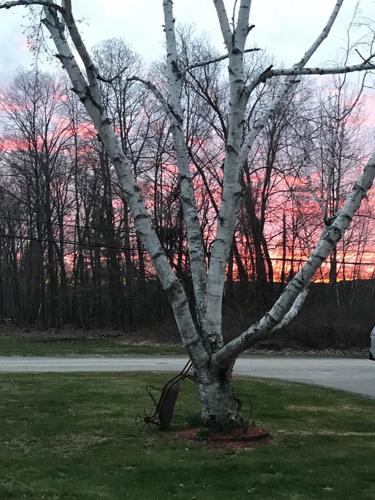 Stanley house sunset