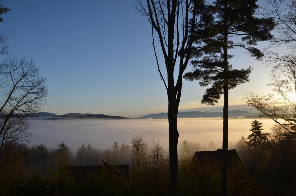 Reader Pics: May 8