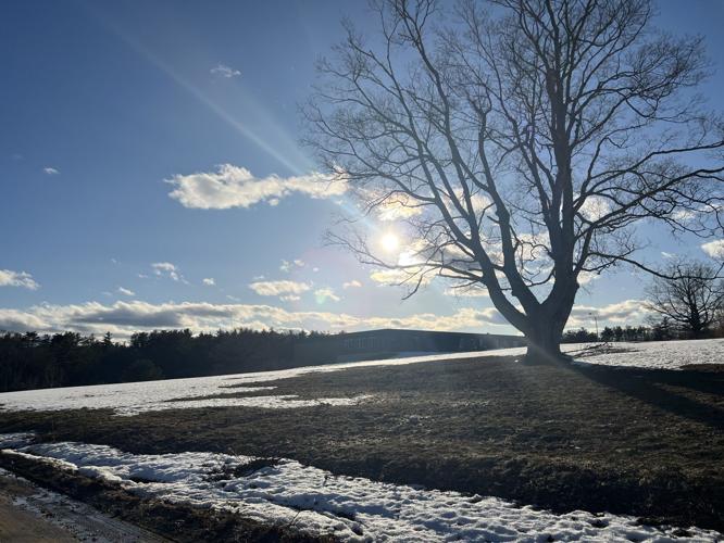 Reader Pics: March 26