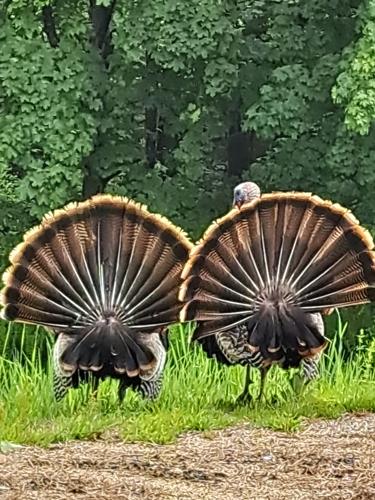 Reader Pics: June 9