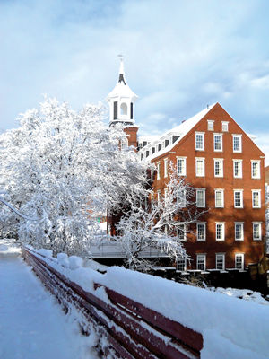 Hope and health through art - Velvet Weeks finds painting and photography a way out of addiction