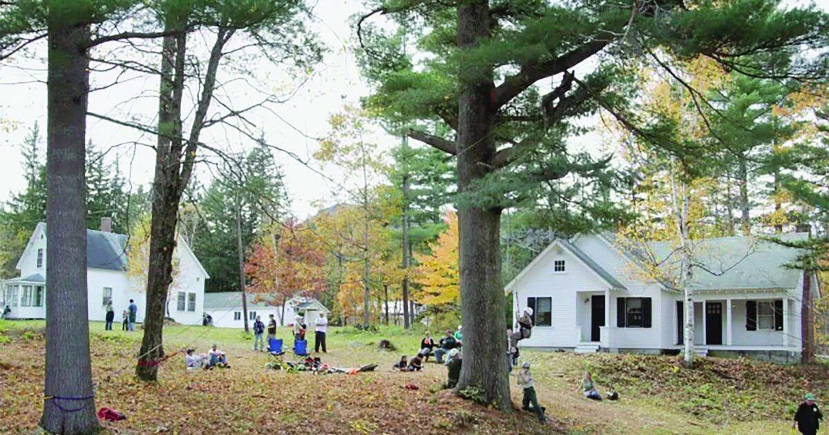 Advocates say ‘no substitute’ for research at NH experimental forest