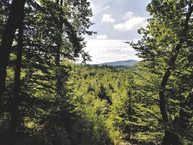 200 acres