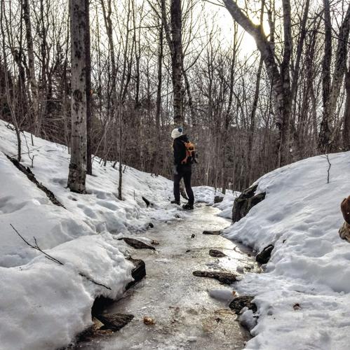 01-06 SLA hike