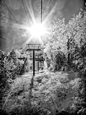 Devotion to BLACK & WHITE