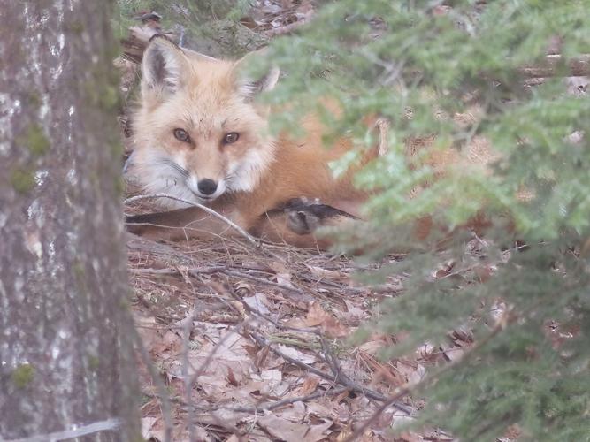 Reader Pics: April 26