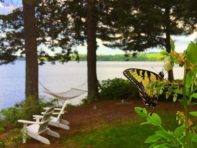 Reader Pics: June 11