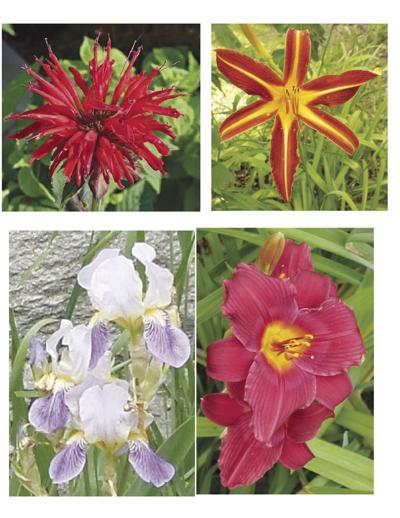 Franklin Historical Society holds plant sale