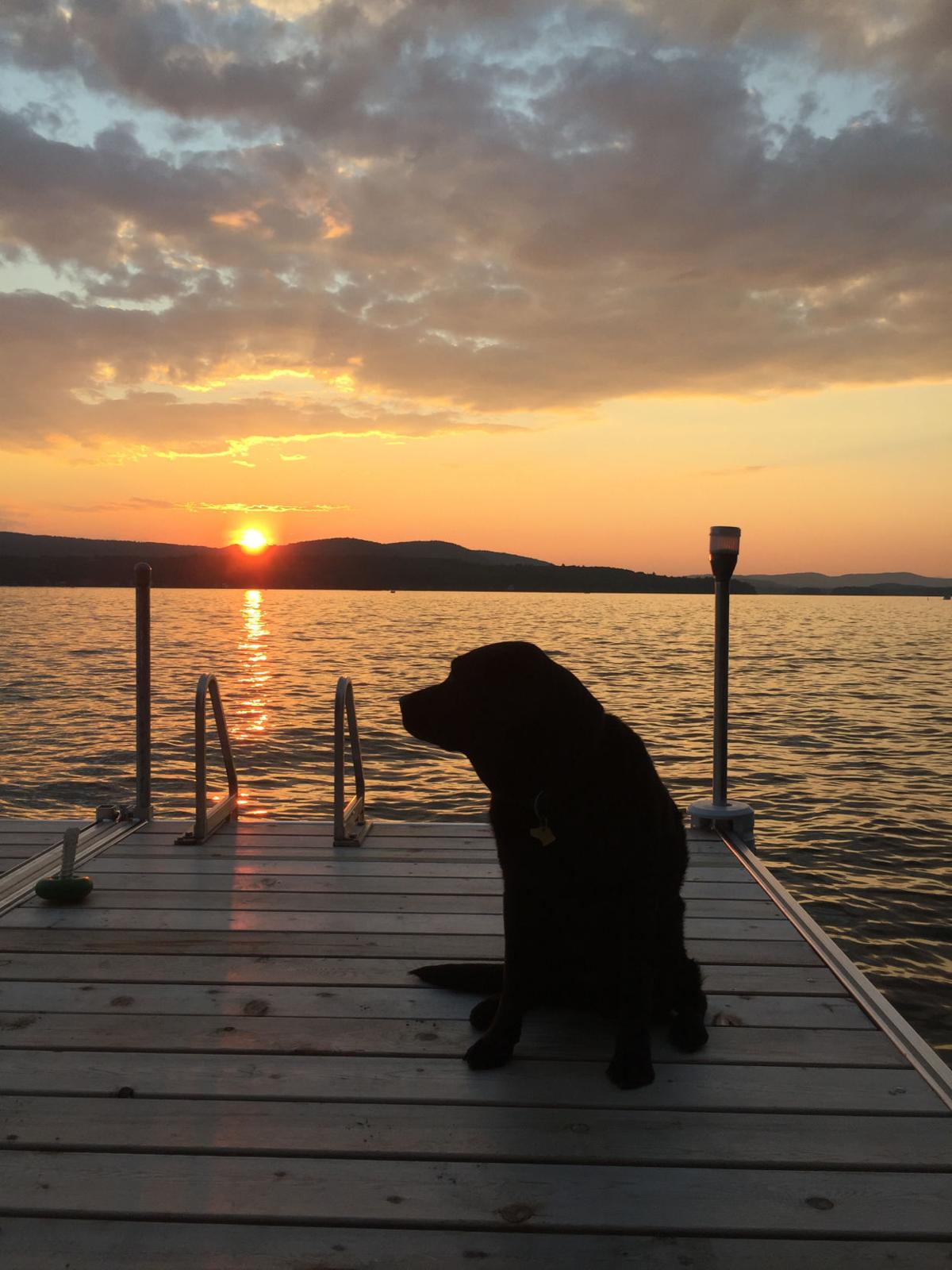Reader Pics: July 13