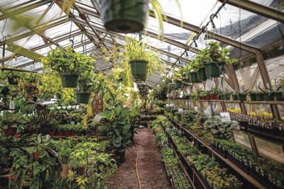 House By the Side of the Road