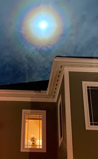 Reader Pics: Dec. 29 - Moon dog