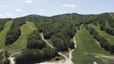 Gunstock spring